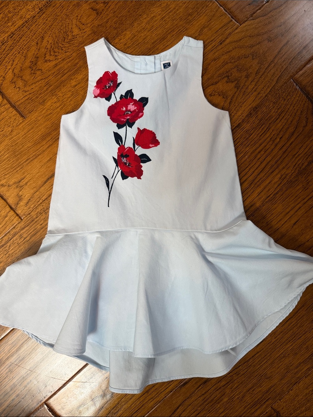 GAPJanie and Jack Light Blue Sleeveless Dress with Red Floral Print